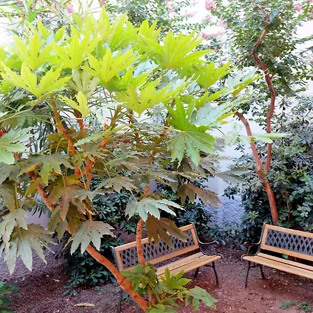 I 10 Mondi فندق مبيت وإفطار ميلان