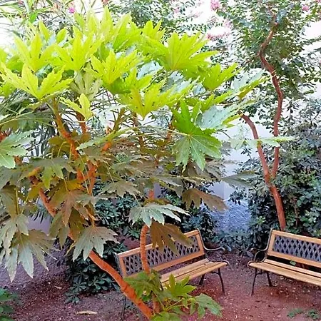 Hostmate - - Vespri Siciliani Milano